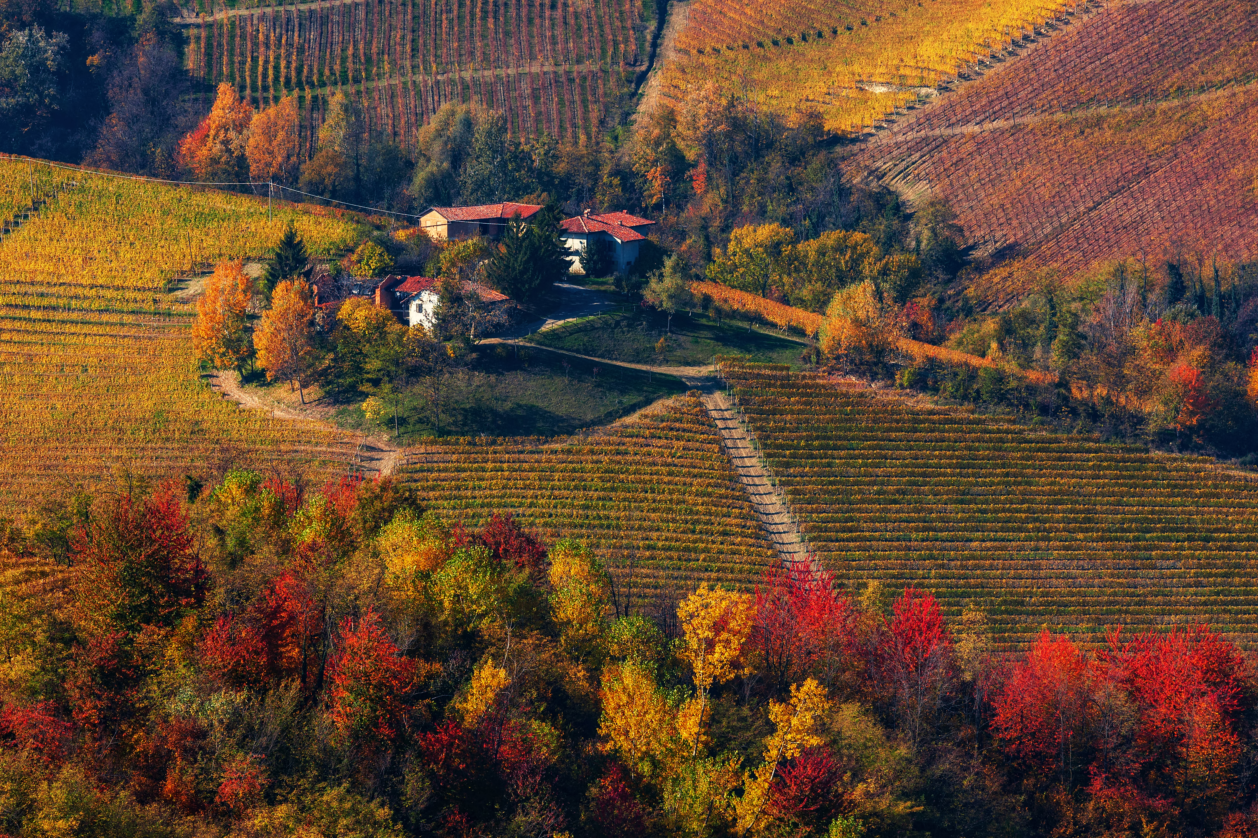 Barolo and the Langhe — Italy’s top wine destination.
