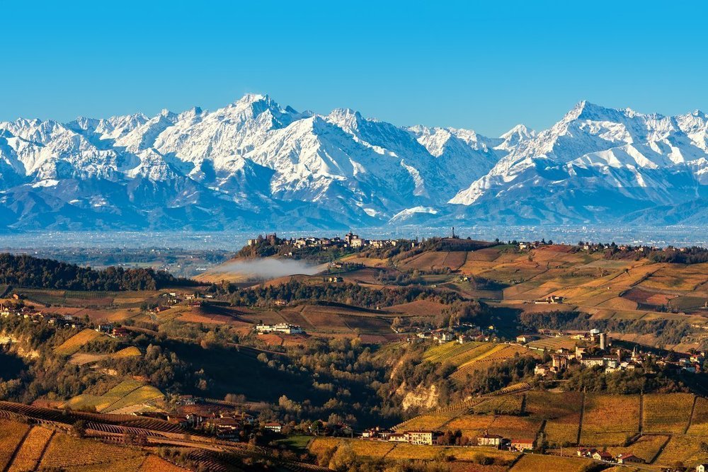 Barolo Day Trip from Milan: Self-Drive or Guided Tour? (Honest Comparison)