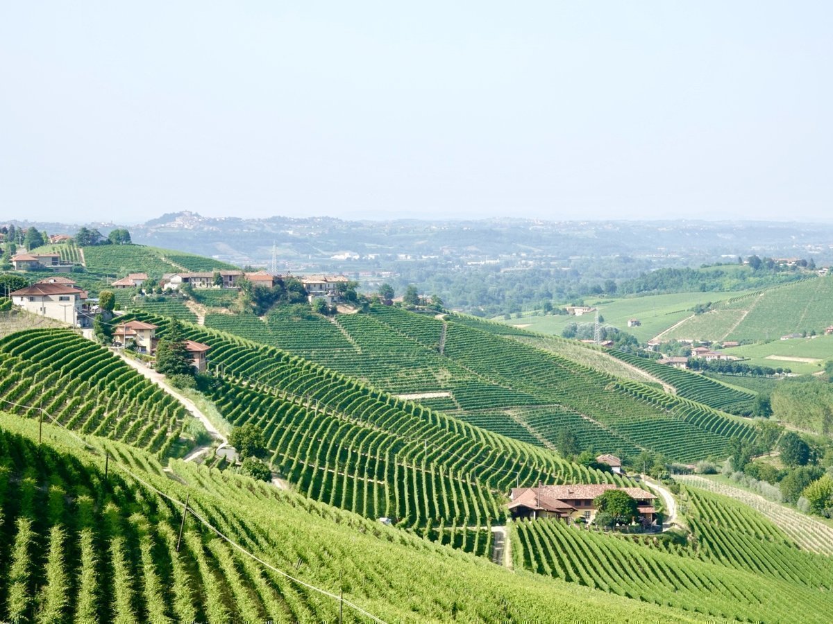 Best Wine Tasting Tours from Milan: The Top 5 Day Trips for Wine Lovers