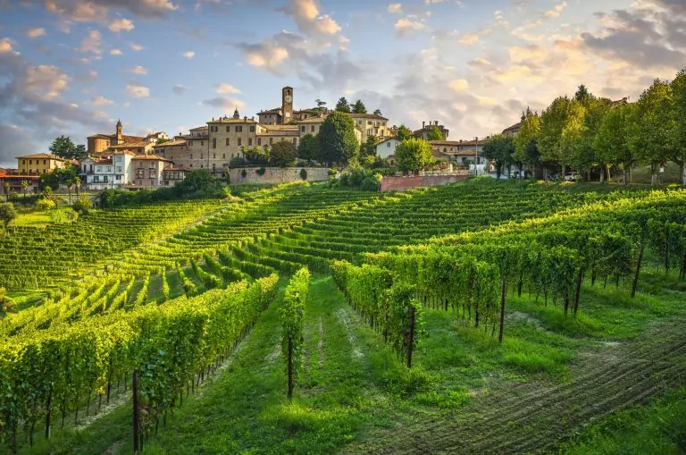 Barolo & Barbaresco Wine tasting from Milan. Visit Alba, Birthplace of Nutella