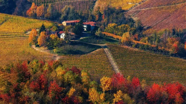 Discover Italy like a Local