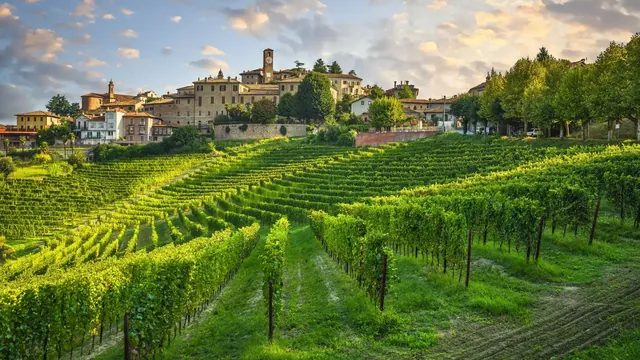 Discover Italy like a Local