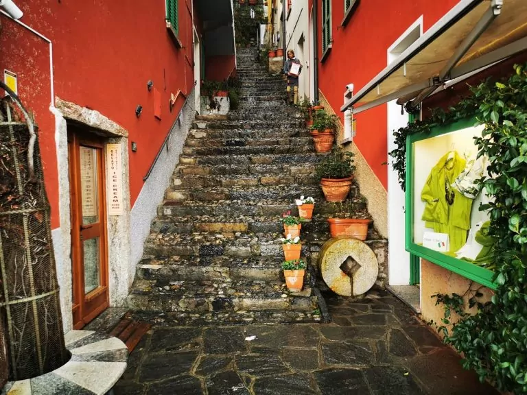 Lake Como villa views